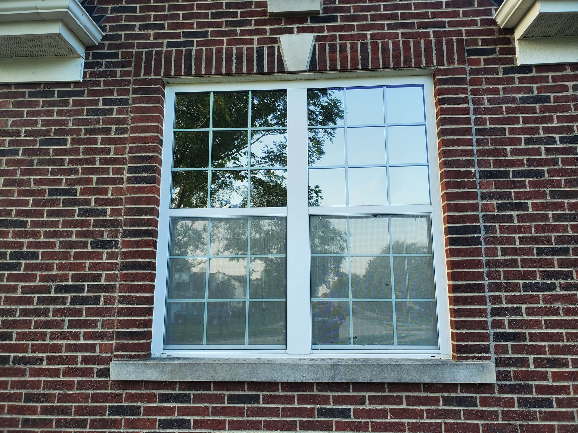 Residential Window Tint
